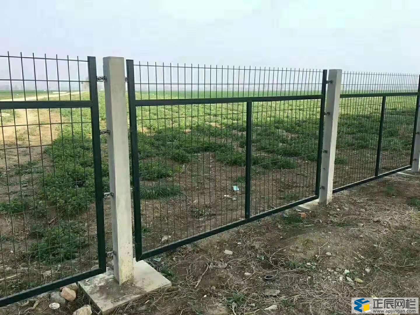 铁路护栏网多少钱一米